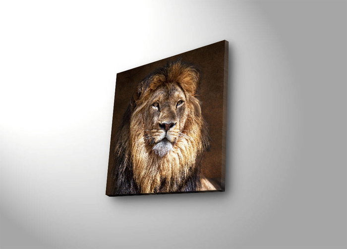 Wallity Cuadro Decorativo en Lienzo Iluminado con LED 40x40 cm
